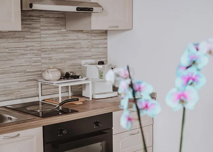 Sami Twin 公寓 莱切